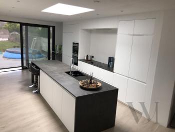 formica wit