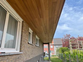 Thermowood ayous